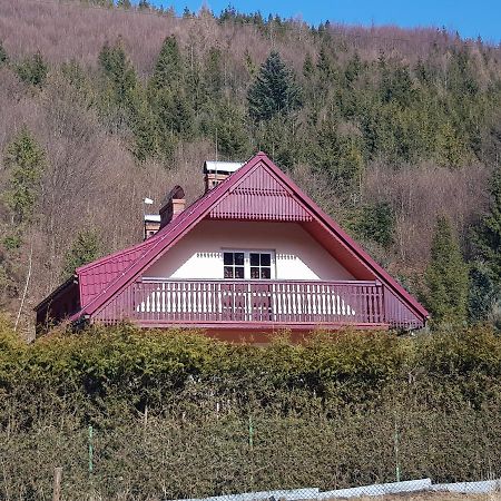 Domek Nad Rzeczka Villa Zabnica Eksteriør billede